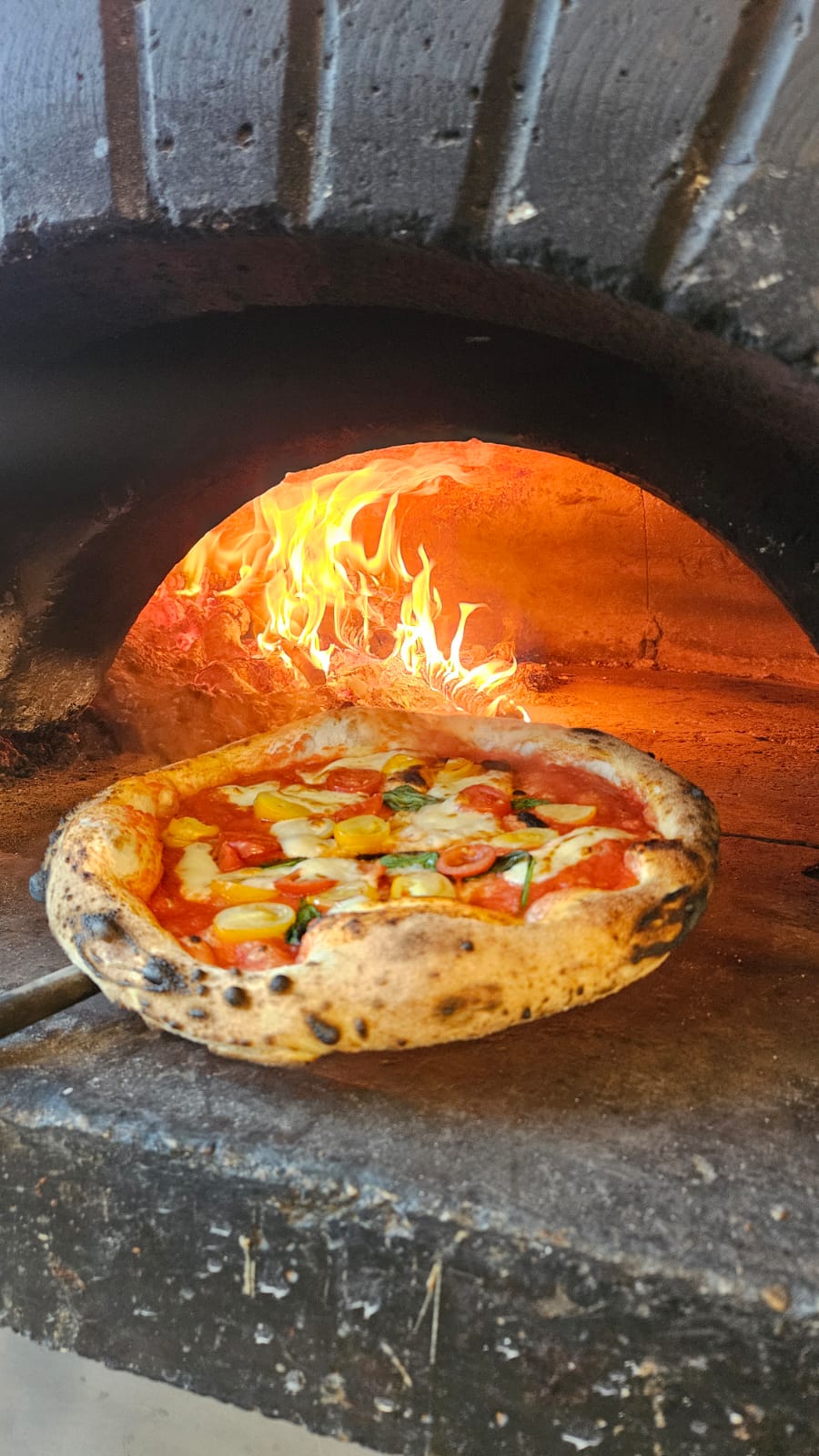 Pizza napoletana GustaNapoli Tirrenia